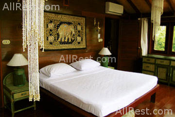 Coconut Tropicana 20